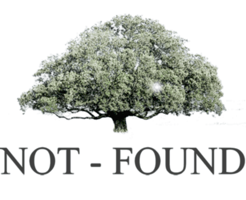 not found image