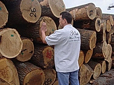 Oak Forestry