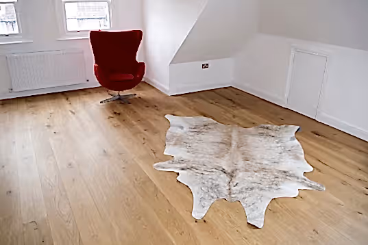 Home Interior Ealing Common, London